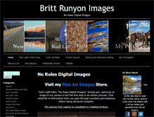 Tablet Screenshot of brittrunyon.com